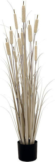Künstliche Rohrkolbengraspflanze Grauer Plastiktopf 122 cm