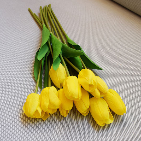 Yellow Tulip Koart