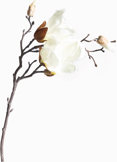 Supergreens Artificial Decorative Branch Magnolia 50cm