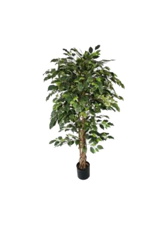 Φίκος Εξωτερικού Χώρου 150cm Gardin