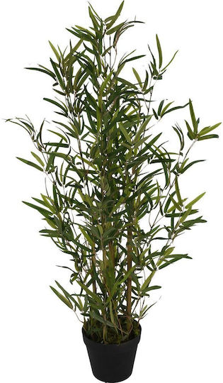 Bamboo in Pot JK Home Decoration Bamboo in Pot JK Home Decoration