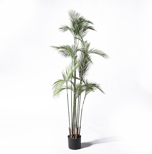Supergreens UV Изкуствено Дърво Палмово Дърво Зелено 180 См Supergreens UV Изкуствено Дърво Палмово Дърво Зелено 180 См
