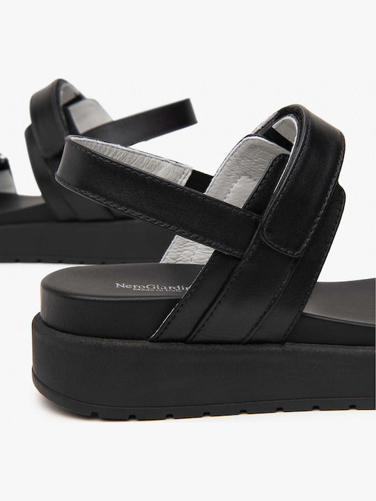 Platforme Dama Negre