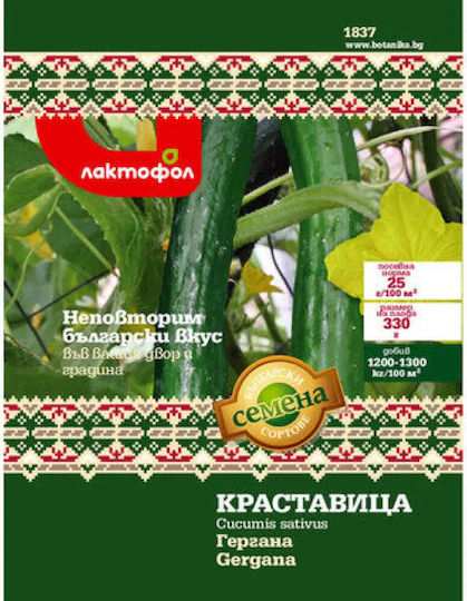 Cucumber Gergana Seeds Bulgarian Seeds