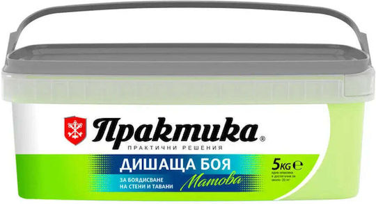 Стайна Пластмасова Боя Цвят Ябълка 5 Кг Praktika