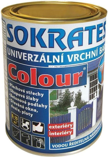 Vopsea Acrilică 0,7 Kg Galbenă