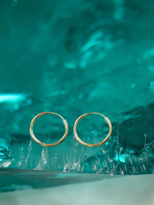 Late Again Silver Gold Plated Hoops Earrings