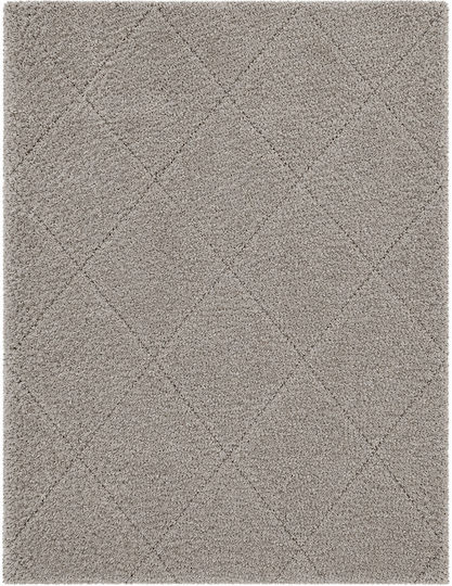 Geometric Living Room Rug Rectangular Shaggy Vizon 160x230cm