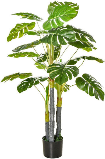 Monstera In Topfpflanze Monstera In Topfpflanze