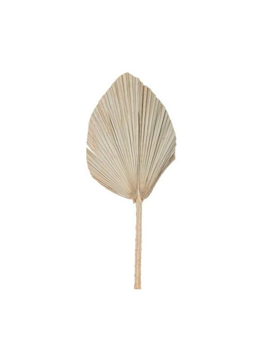Frunze de Palmier 60 X 30 Cm Beauty Home