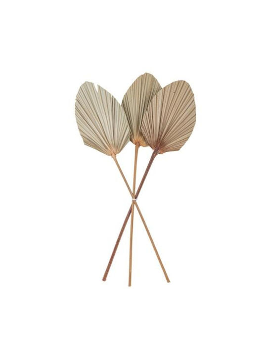 Set Frunze de Palmier 3 Buc 60 X 15 Cm Beauty Home