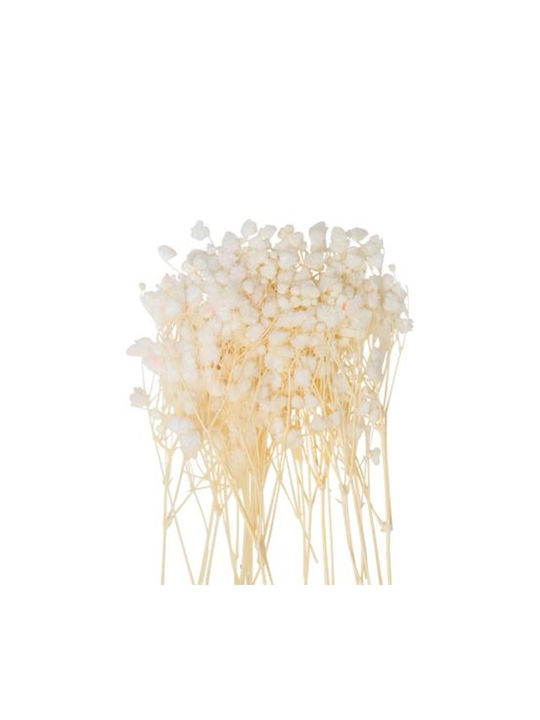 Gypsophila Floare Artificială 20 Bucăți Beauty Home