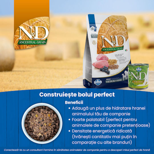 Farmina N&D Ancestral Grain Medium & Maxi 2.5kg Trockenfutter mit wenig Getreide für erwachsene Hunde mittlerer & großer Rassen mit Lamm
