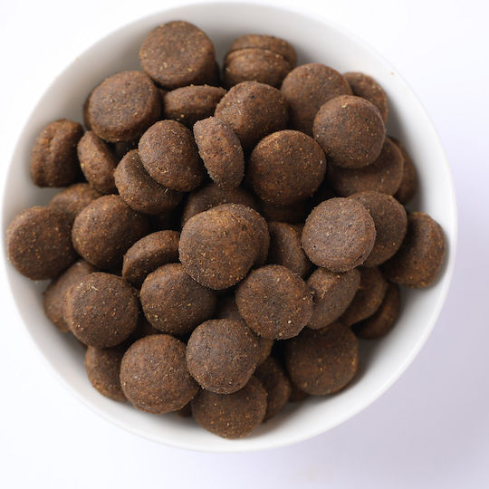Farmina Quinoa 7kg Dry Dog Food Light Grain-Free With Herring and Meat