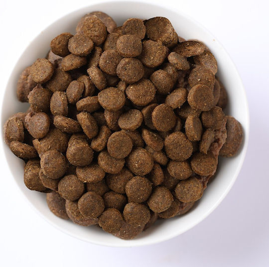Farmina N&D Ocean Adult Mini 2.5kg Dry Food Grain-Free & Gluten-Free for Adult Small Breed Dogs with Pumpkin and Fish