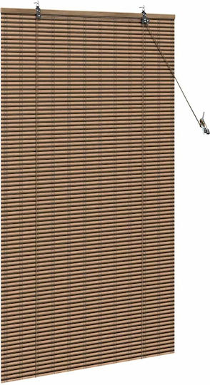 vidaXL Κουρτίνα Παραθύρου με Τρέσα Καφέ 100x160εκ.