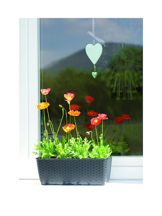 Prosperplast Ratolla Kunststoff-Blumentopf Anthrazit mit Untersetzer 15cm
