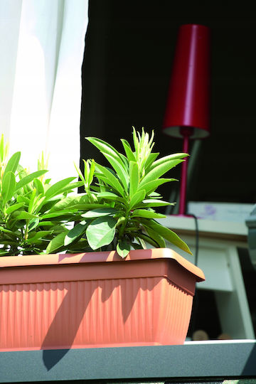 Prosperplast Kunststoff-Blumentopf Anthrazit 32cm