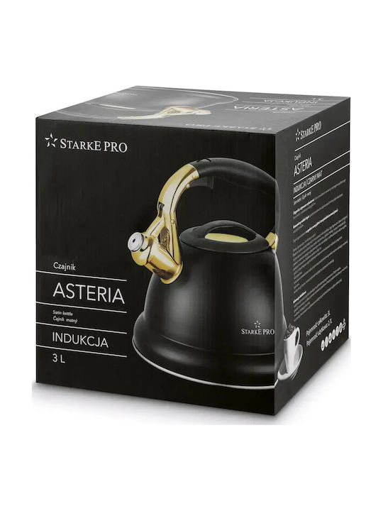 Starke Pro Βραστήρας Ανοξείδωτος Γκρι 3000ml