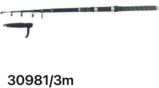 Καλάμι Ψαρέματος για Casting 3m 60-120gr