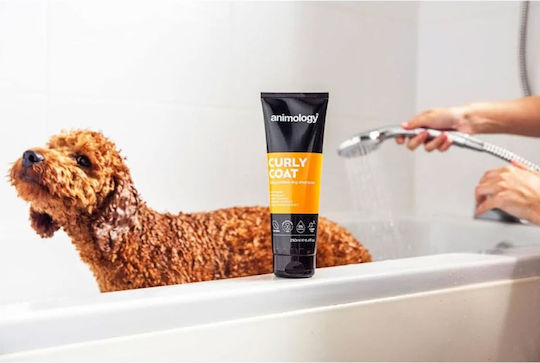 Animology Dogs Curly Coat Hundeshampoo für Hunde 250ml