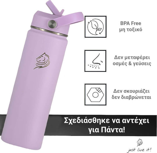 Cool'NMore Μπουκάλι Θερμός Ανοξείδωτο BPA Free 500ml Lavender με Καλαμάκι, Λαβή, Επιστόμιο και Θηλιά