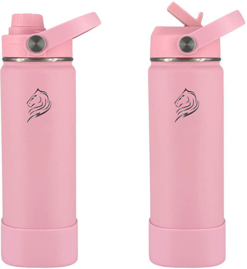 Cool'NMore Stainless Steel Thermos Bottle BPA Free 500ml Flamingo with Straw and Handle