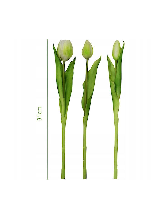 Μπουκέτο από Τουλίπα Λευκό 31cm Saska Garden