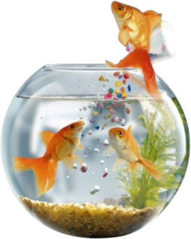 All Pet Oliver Fischfutter Goldfische 200g