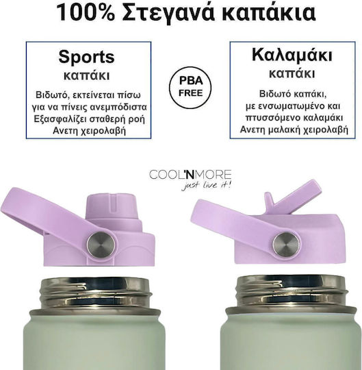 Cool'NMore Stainless Steel Thermos Bottle BPA Free 500ml Stainless Steel with Straw Handle Loop and Mouthpiece