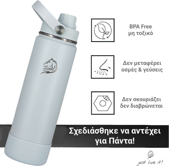 Cool'NMore Бутилка Термос Неръждаема Стомана BPA Free 500ml Неръждаема със Сламка Дръжка Примка и Мундщук