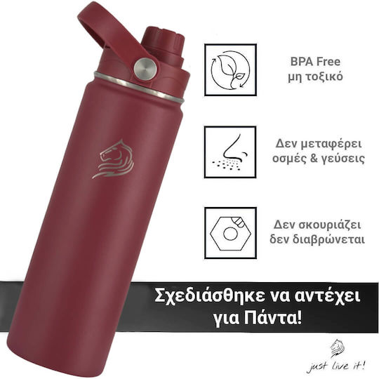Cool'NMore Бутилка Термос Неръждаема Стомана BPA Free 500ml Неръждаема Стомана със Сламка Дръжка Примка и Мундщук