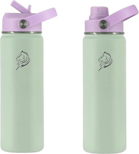 Cool'NMore Stainless Steel Thermos Bottle BPA Free 500ml Stainless Steel with Straw Handle Loop and Mouthpiece