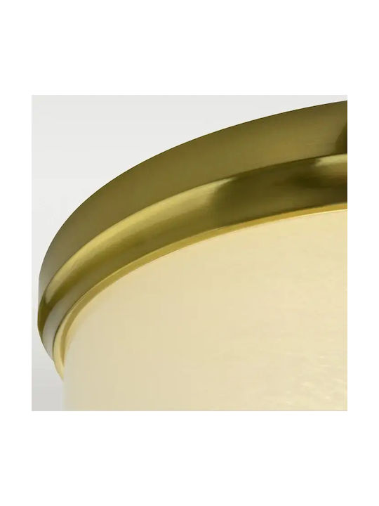 COSMOLight Plafonieră de Tavan 30cm Bronzată cu Soclu E27