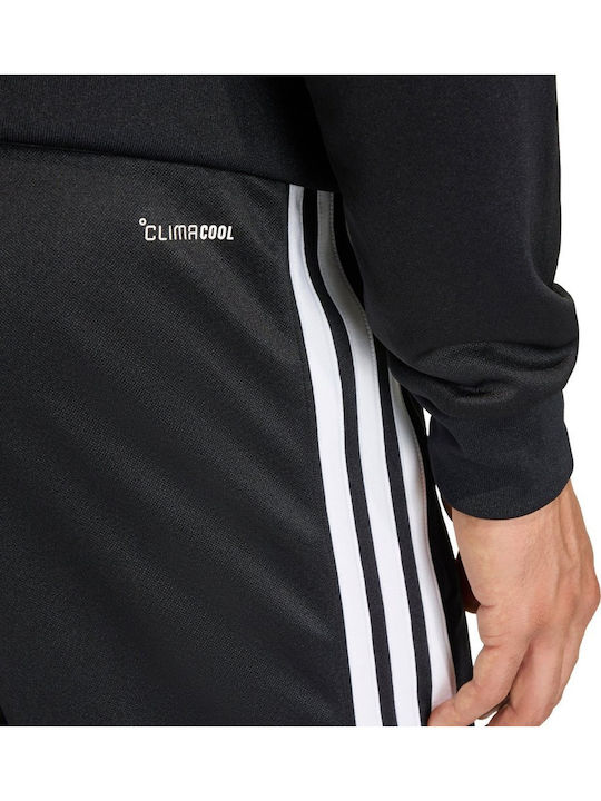 Training Sweatpants Glossy Black