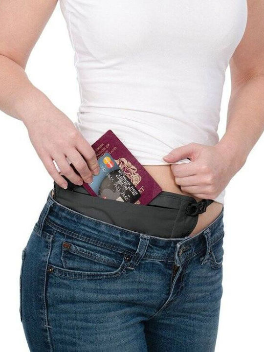 Pacsafe