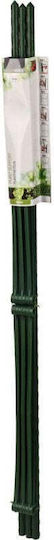 Progarden Plant Stakes 78cm Metal with Ring Support Set 3 Pieces