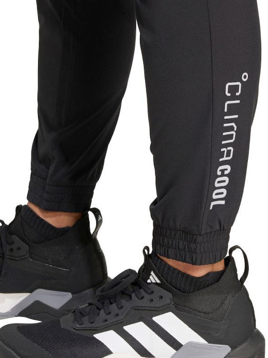 Sweatpants Black
