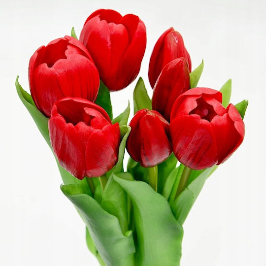 Bouquet of Red Tulips 31cm Saska Garden