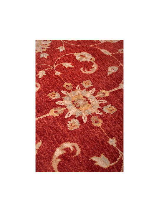 Biokarpet Зиглер 244x309см-244x309