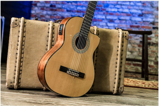 Peavey Electro-Classical Guitar 4/4