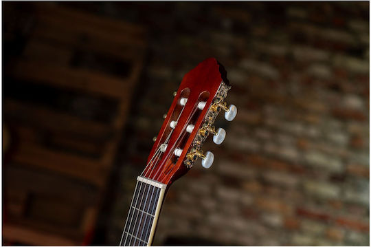 Peavey Classical Guitar 4/4