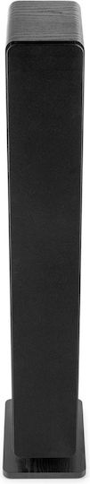 Audizio ARCO Passive Hi-Fi-Lautsprecher Boden 160W Schwarz