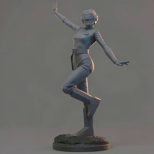 Figure Choushinsei Flashman 3D Printing Model Pink Flash 3D Printed 7 6 Cm 1:24