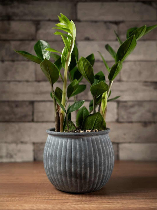 Aquaplant Pflanzentöpfe Keramik Grau