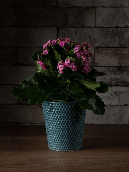 Petrol Ceramic Decorative Plant Pot 13/14cm