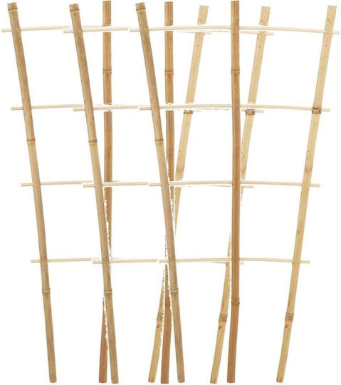 Στήριξης Φυτού Bamboo Βάσεις Γλάστρας 3τμχ