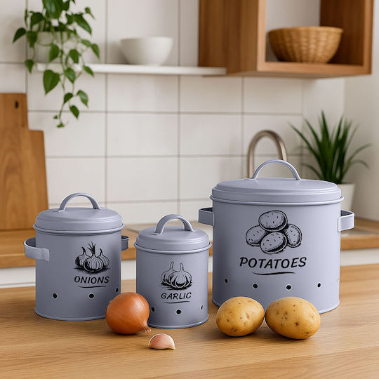 Relaxdays Set 3 Bucăți Casete Utilizare Generală Cu Capac Din Oțel Inoxidabil Gri 3 Bucăți