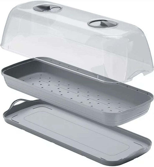 Prosperplast Seră Respana Table Mini Propagator de semințe 51x19.6x18.5cm