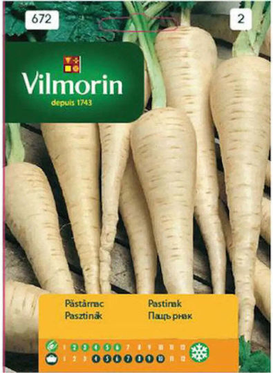 Vilmorin Semințe Varză